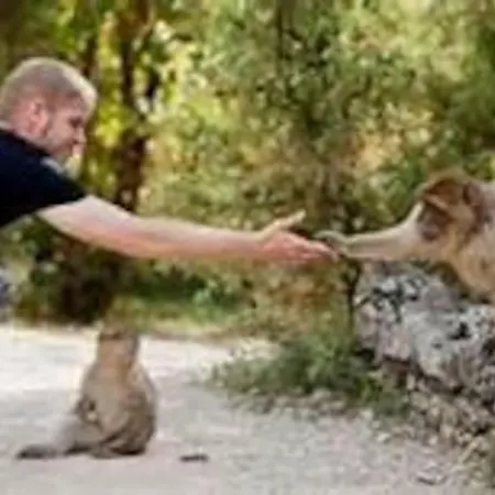 La Pinay - Petite Maison Cosy Avec & Cheminee *